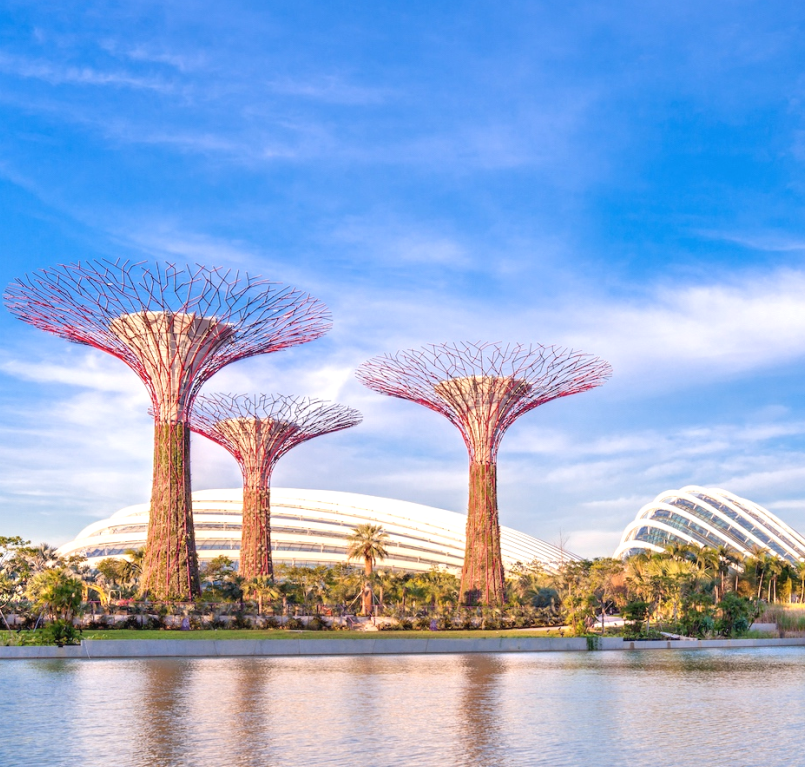 Garden by the bay