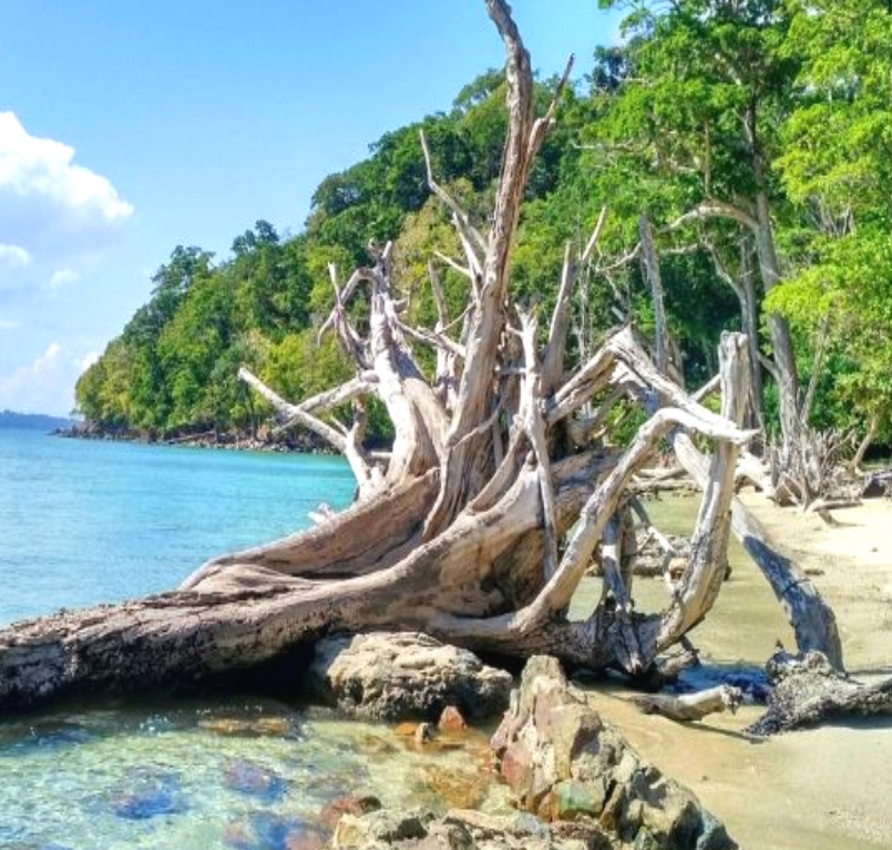 Chidiya Tapu Beach