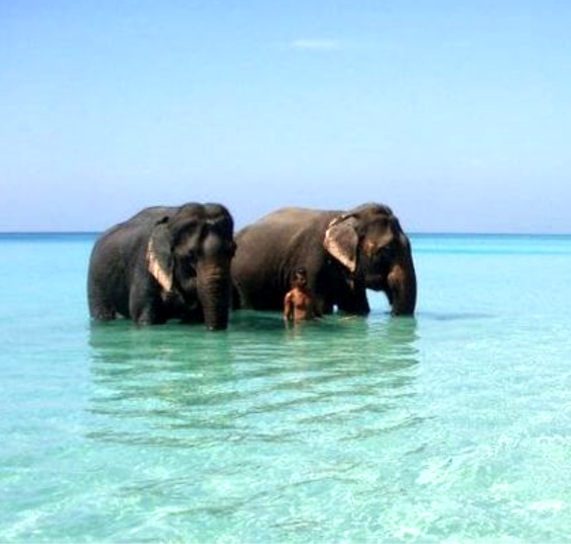 Elephant Beach, Havelock Island